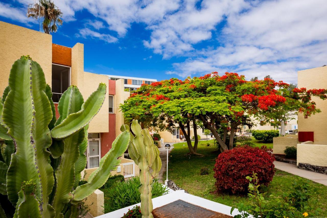 Bungalow Costa Adeje Cortijo 1-8 플라야데라스아메리카스 외부 사진